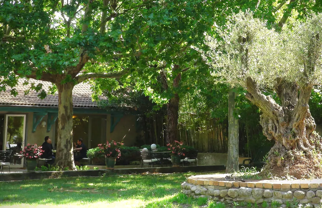 Logis Hotel Restaurant Spa Les Oliviers-1